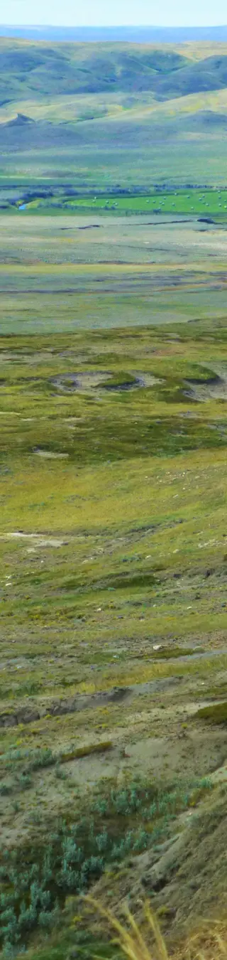 Grasslandschaft soweit das Auge reicht